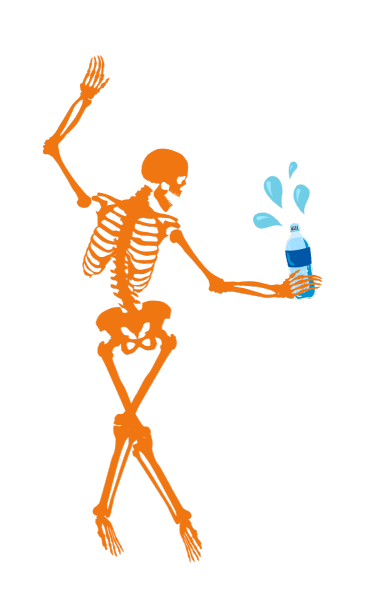 Optimizing Spinal Health